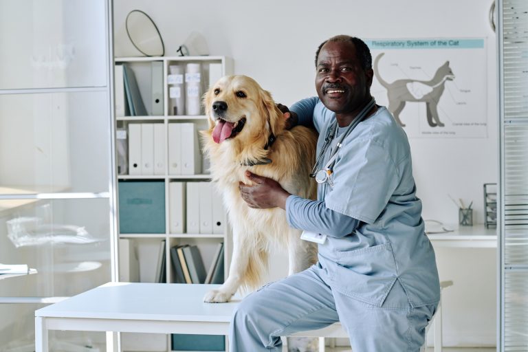 Vet doctor with domestic dog at clinic